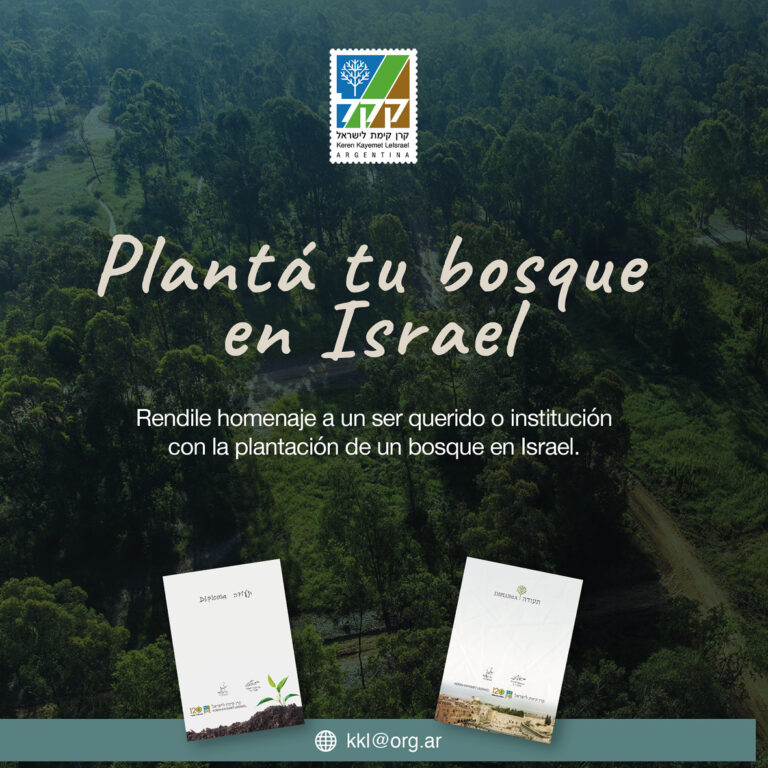 revista_lilaj2023_31